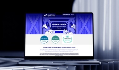 Blue Farm Digital Marketing – Tampa Digital Marketing Agency